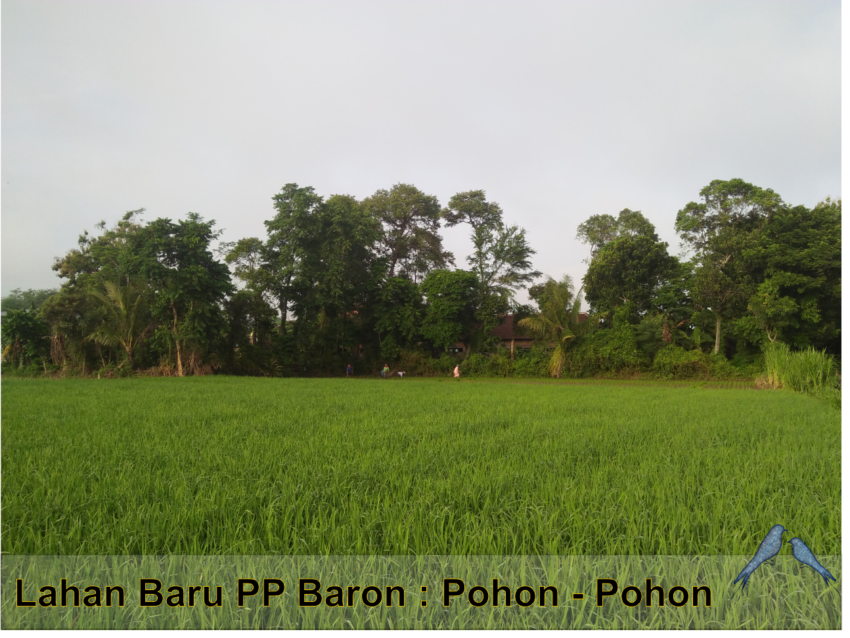 Lahan Baru PP Baron
