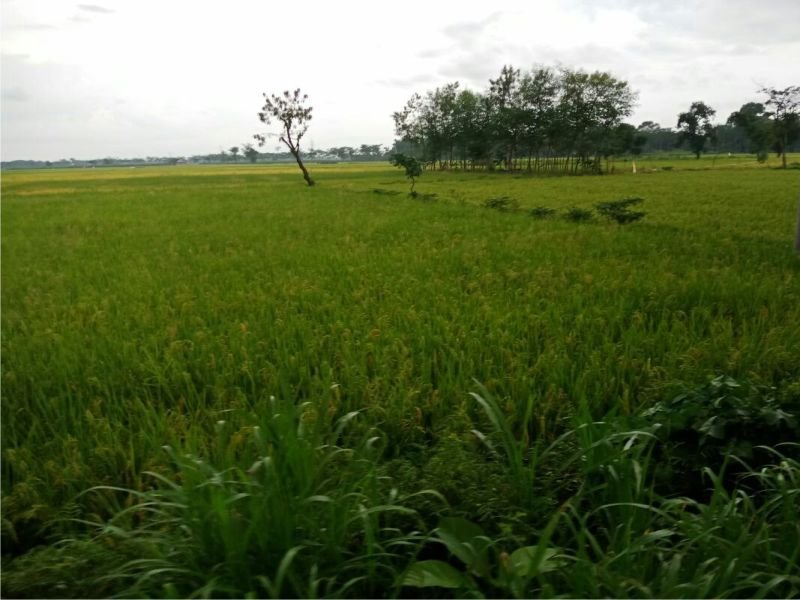 Pembebasan Lahan Villa Qur'an